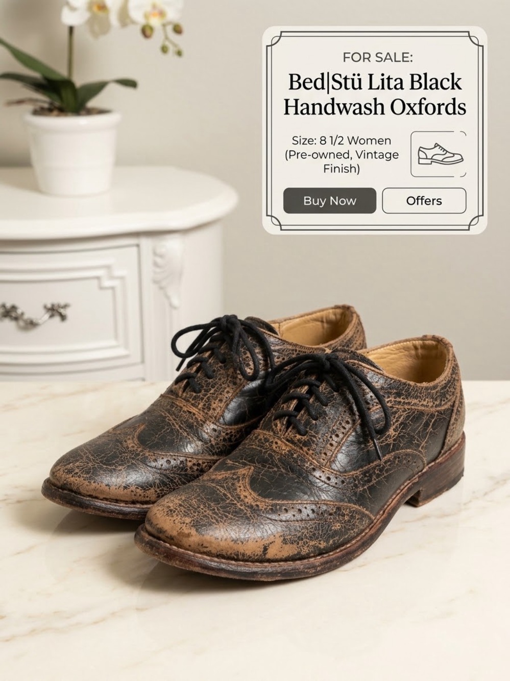Bed Stu Women's Black & Brown Distressed Leather Oxfords